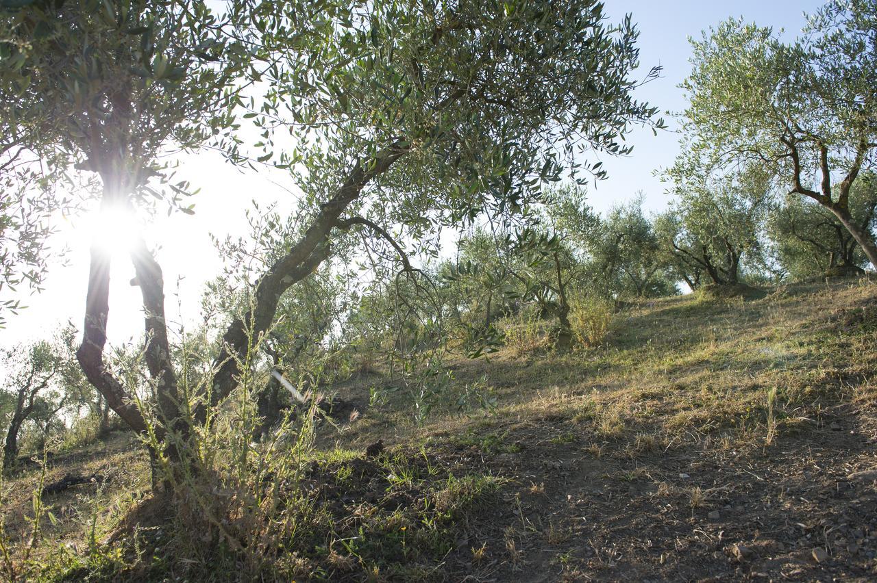 Agriturismo Poggio Corbello La Pesta Exterior foto
