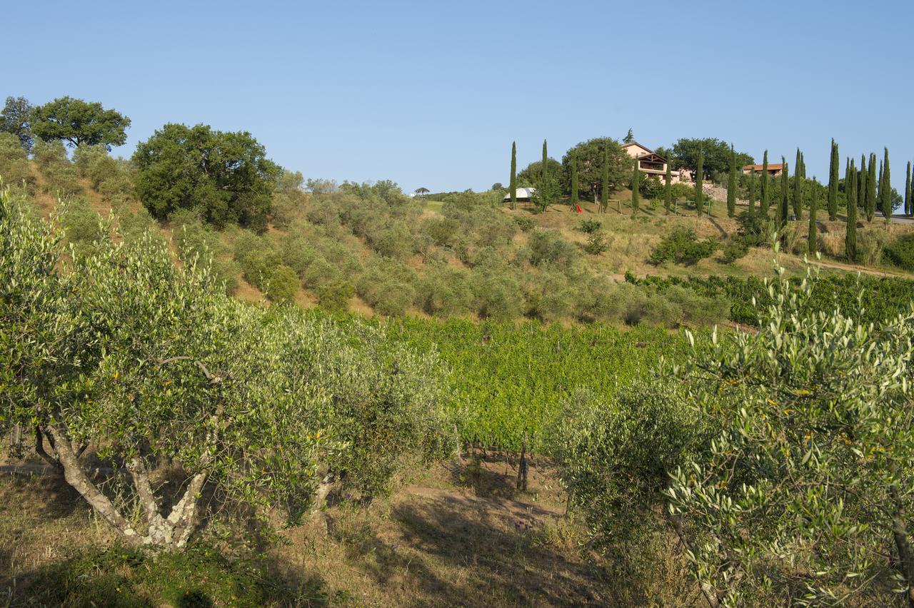 Agriturismo Poggio Corbello La Pesta Exterior foto