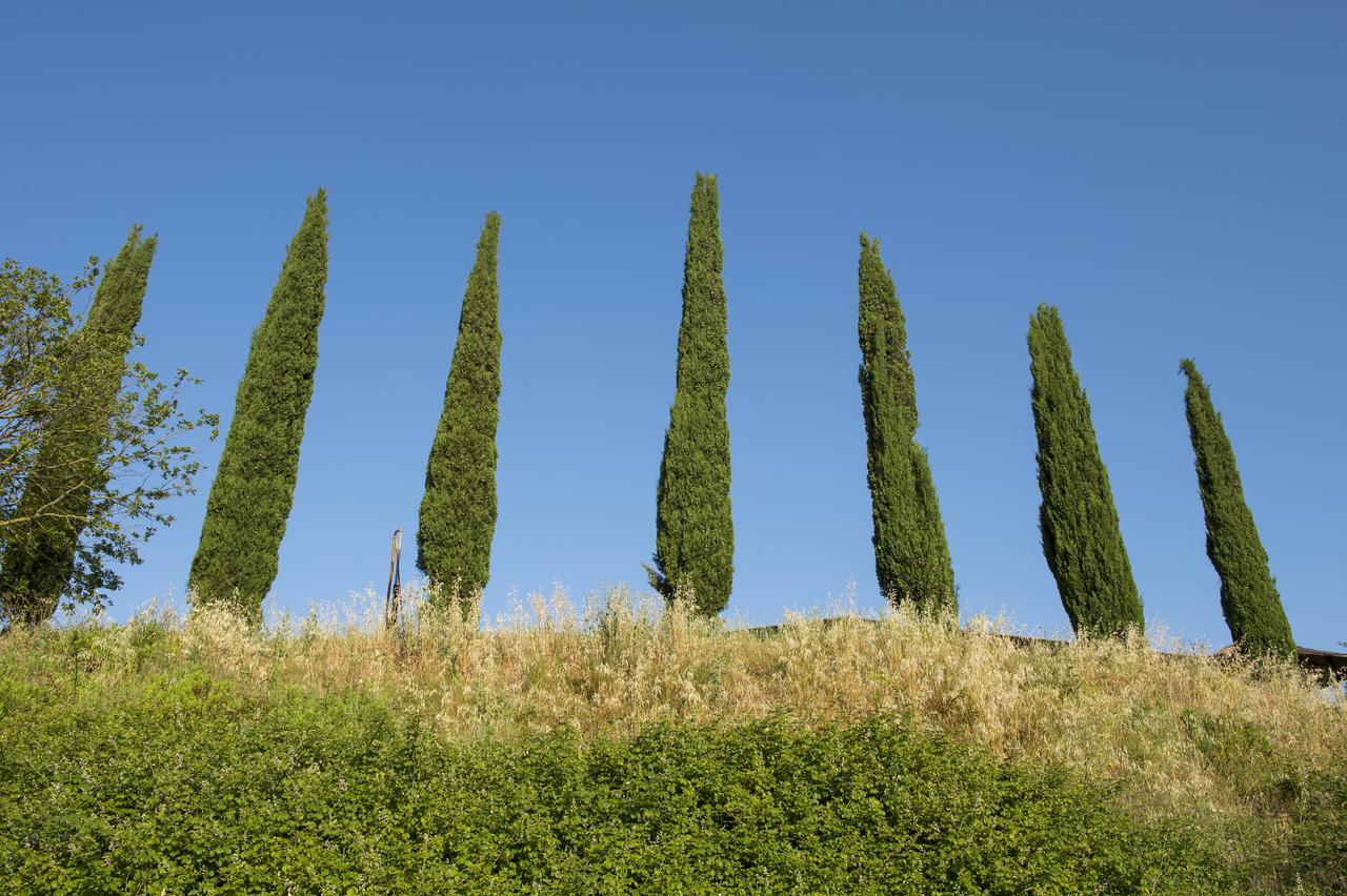 Agriturismo Poggio Corbello La Pesta Exterior foto
